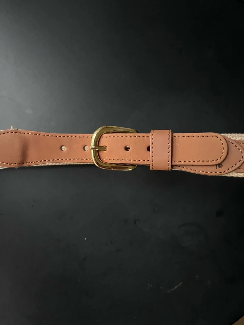 NWOT Guy Harvey Tan Leather Belt with Multicolor Tuna Embroidery